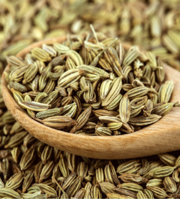 Funnel Seeds